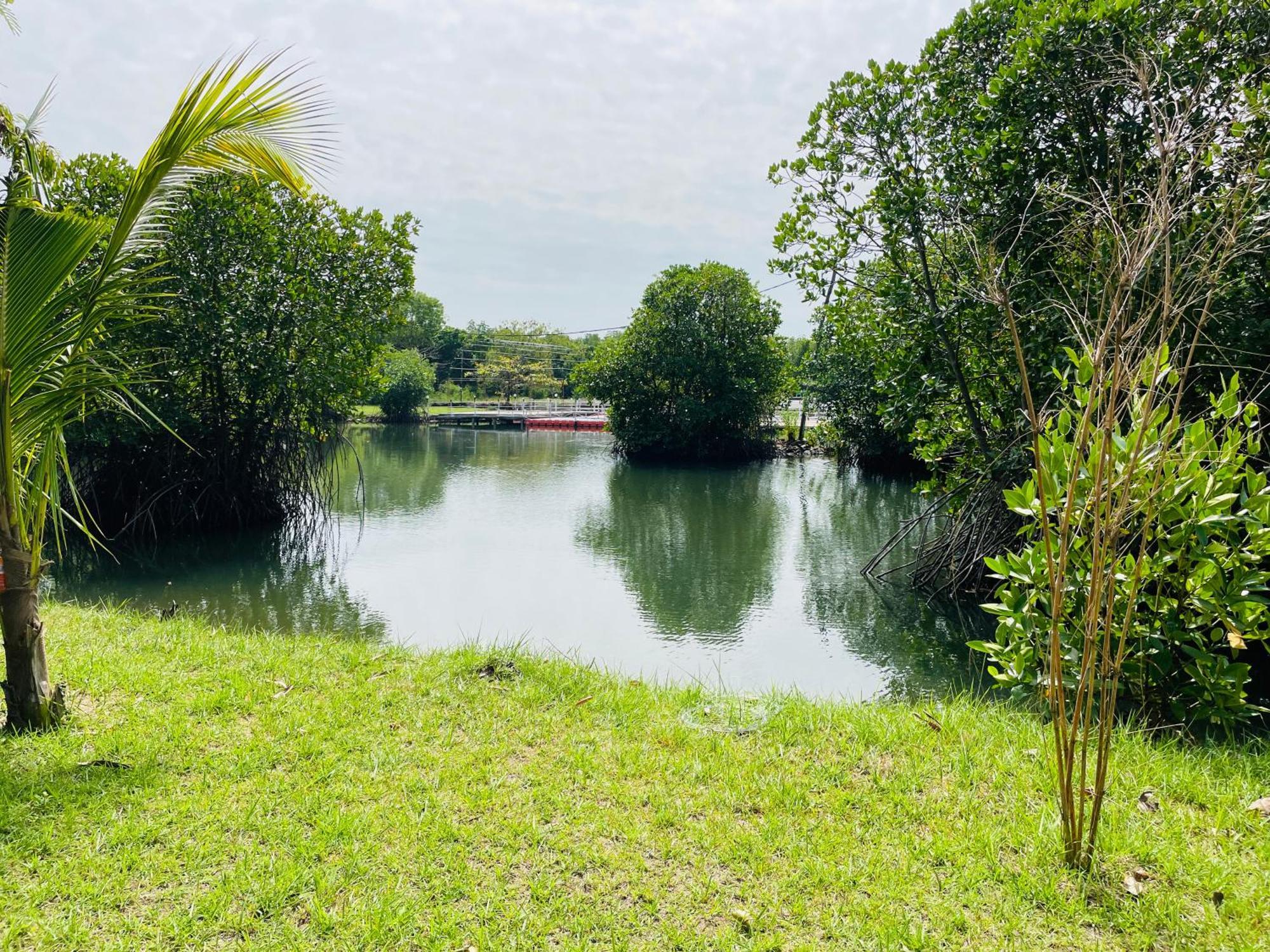 King'S Island Resort Negombo Bagian luar foto